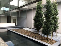 Balmoral Road (D10), Condominium #485635341